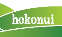 Hokonui Stream